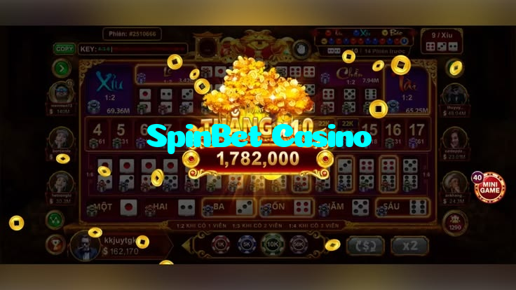 available types of SpinBet Casino bet including pre-match live express and system bets